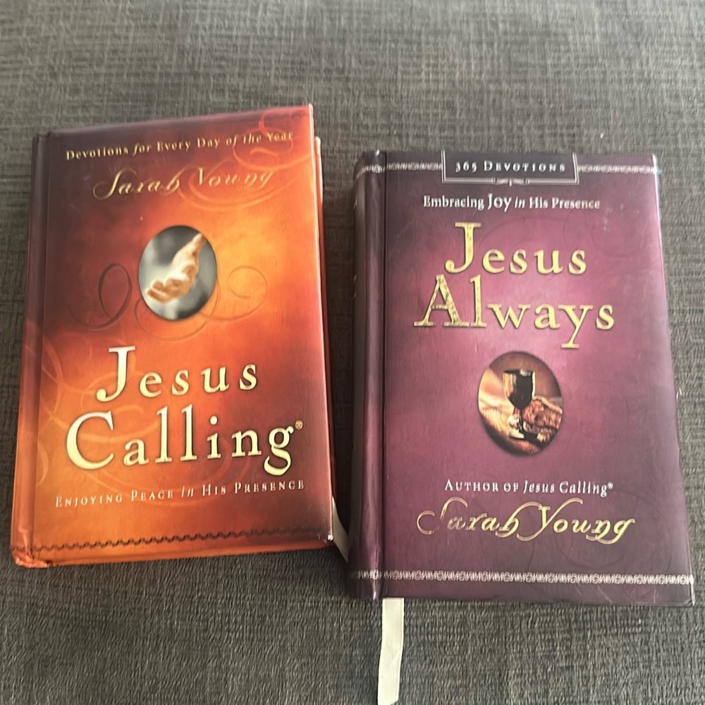 Sarah young devotional bundle